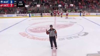 NHL Ref Had Funniest Penalty Call After Big Fight in Detroit Red Wings-Buffalo Sabres