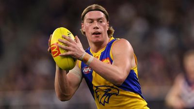 Eagles back star bull Harley Reid to fire against Suns