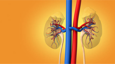 Is Hyperkalaemia being ignored? The silent threat to kidney disease patients