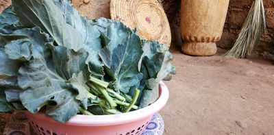 How an unexpected observation, a 10th-century recipe and an explorer’s encounter with a cabbage thief upend what we know about collard greens’ journey to the American South