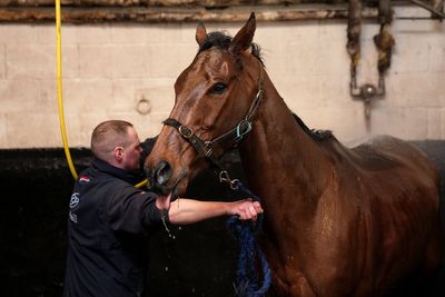 Cheltenham Festival criticised after horse dies on ‘lethal’ racecourse