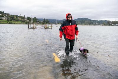 Global sea level rose faster than expected last year alarming scientists