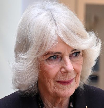 How Queen Camilla Secretly Supported Survivor of Shocking Rape Case