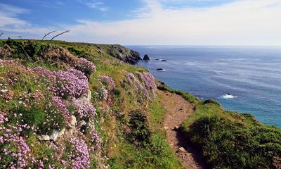 ‘Spring sings with birdlife and wildflowers’: readers’ favourite UK trips of the season