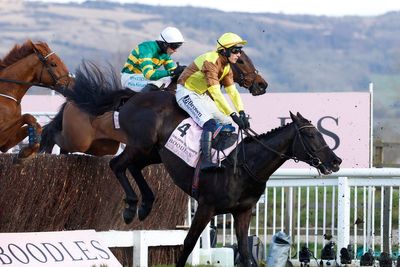 Cheltenham Gold Cup results LIVE: Inothewayurthinkin claims victory as horse suffers fatal injury