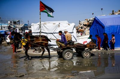 US, Israel want to displace Palestinians from Gaza to East Africa: Report