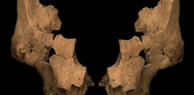 Western Europe’s oldest human face discovered in Spain