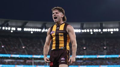 Hawks outclass Bombers to extend unbeaten AFL start