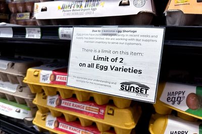 Trump has threatened to annex Danish territory Greenland. Now the US is asking Denmark for help with egg shortages