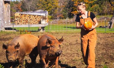 Why I quit my homestead dream just as farmer tradwives became mainstream