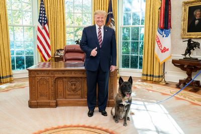 Bomb sniffing K-9s become latest DOGE victims – hours after Trump shared 2019 pic with hero dog