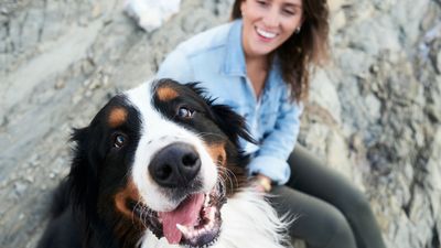 How to bond with your dog in 10 simple steps