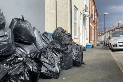 Birmingham bin strike: Public health warning as rodents ‘feast’ on rotting trash