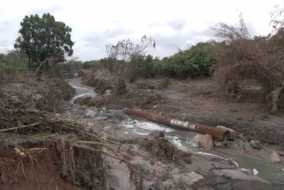 River ‘dies’ after massive acidic waste spill at Chinese-owned copper mine