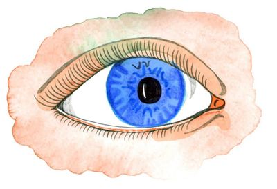 What happens under your eyelids when you blink? Try our kids’ quiz