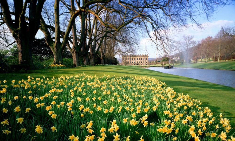 20 of the best spring breaks in the UK