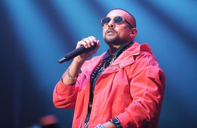 Sean Paul: AI risks opening a pandora's box