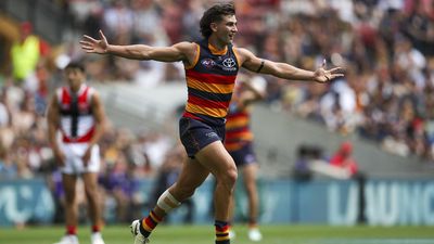 Crows content but yet to prove anything: Nicks