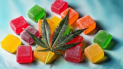 What are CBD Gummies: All You Need to Know