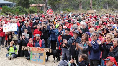 Anti-salmon protest fills beach amid mass farm deaths