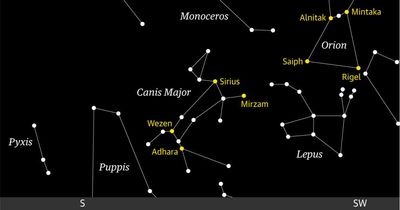 Our brightest star can lead us to Orion’s hunting dog
