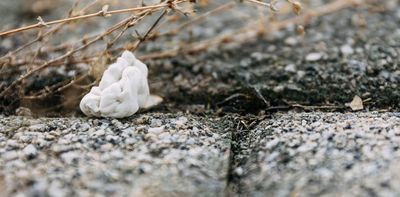 Chewing gum is plastic pollution, not a litter problem