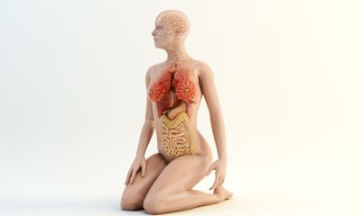Alive: An Alternative Anatomy by Gabriel Weston review – our bodies in an eye-opening new light