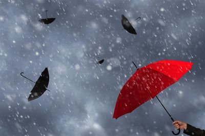 Resilient Investing: 3 Stocks Built to Weather Market Volatility