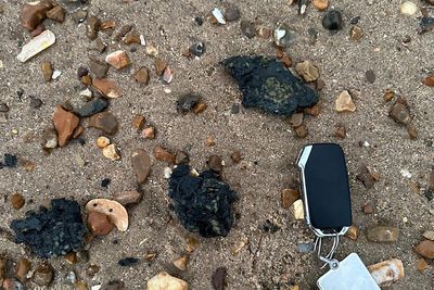 Wildlife at risk after plastic pellets spill into North Sea following ship collision