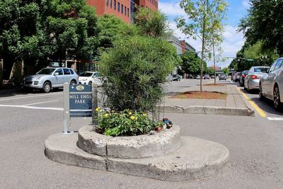 Portland’s one-tree park loses its title as ‘world’s smallest’ – here is where the new champion is located