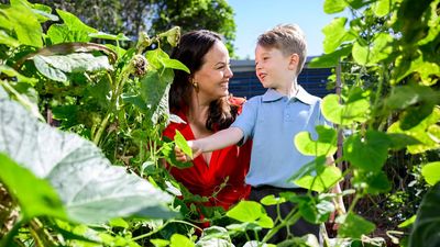 AI giant helping grow greenhouses in Australian schools