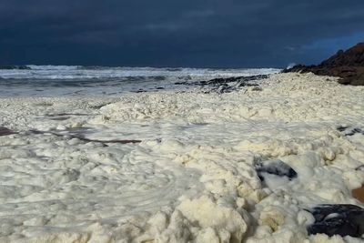 Strange foam and dead fish wash onto 2 Australian beaches as surfers fall sick