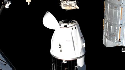 WATCH: NASA's 'Butch And Suni' Begin Long-Awaited Journey Back Home Aboard SpaceX Capsule