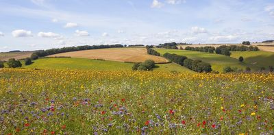 The UK has closed its flagship sustainable farming scheme, choosing short-term cuts over long-term security