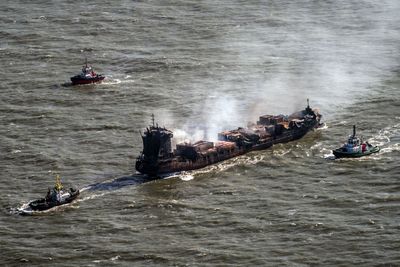 Clean-up operation under way after pellets from ship collision threaten wildlife