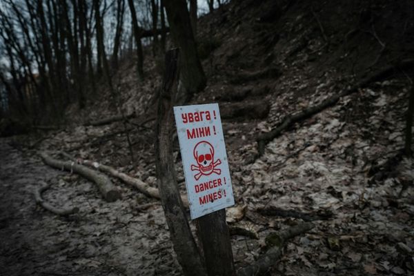 Poland, Baltics Signal Plans To Withdraw From Landmines Treaty