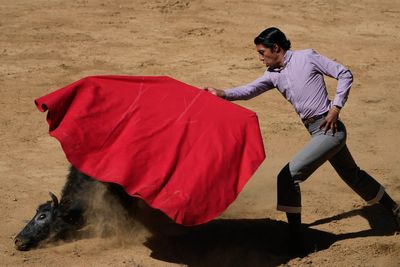 Mexico City bans violent bullfighting, sparking fury and celebration