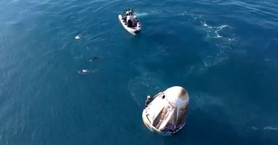 Dolphins Greet Returning Astronauts After SpaceX Crew's Long-Awaited Splashdown