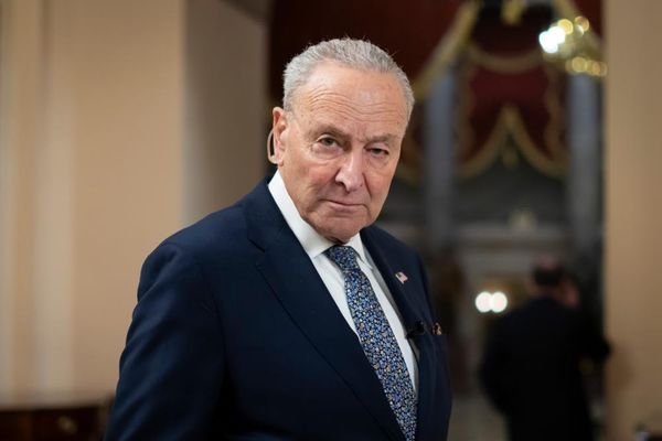 Chuck Schumer clung to belief Republicans would ‘expel’ Trump, book says