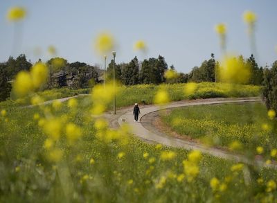 America's happiest city: Over 1,000 acres of parks, average temperatures in the 60s, and a bustling economy