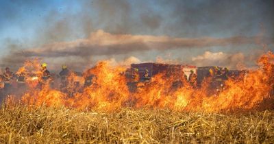 No barbecues allowed as popular summer spot hit with wildfire risk