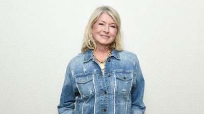 Martha Stewart says upgrading your floor covering is one of the 'easiest ways to change the whole look and feel of a room' – her rugs are reduced from $68