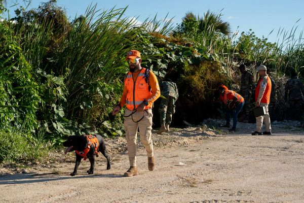 American believed to be last person to see missing US student left the Dominican Republic