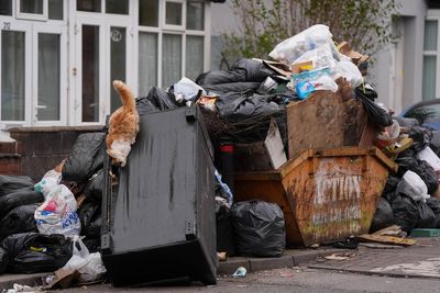 Rats known as ‘Squeaky Blinders’ not welcome beyond Birmingham border, says MP