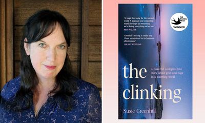 The Clinking by Susie Greenhill review – a stunning, devastating debut