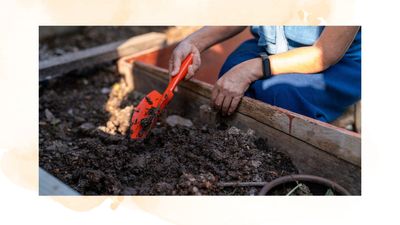 The common composting mistakes you need to avoid if you want to achieve a nutrient-rich heap