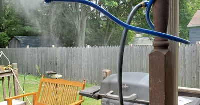 Literally Cannot Function This Spring Without These 23 Things