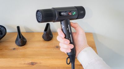 I tried the Wahl Vanquish Hair Dryer and it's as powerful as it is portable