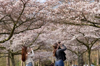 Temperatures top 21C to make it hottest day of 2025 so far