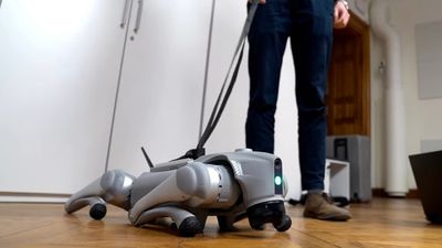 Meet Luna, the new AI robot dog who teaches itself using a digital nervous system and software 'that allows any machine to learn like humans and animals do'